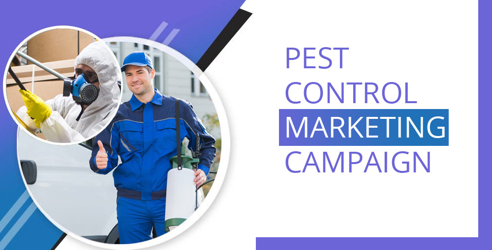 Pest Control Marketing Campaign